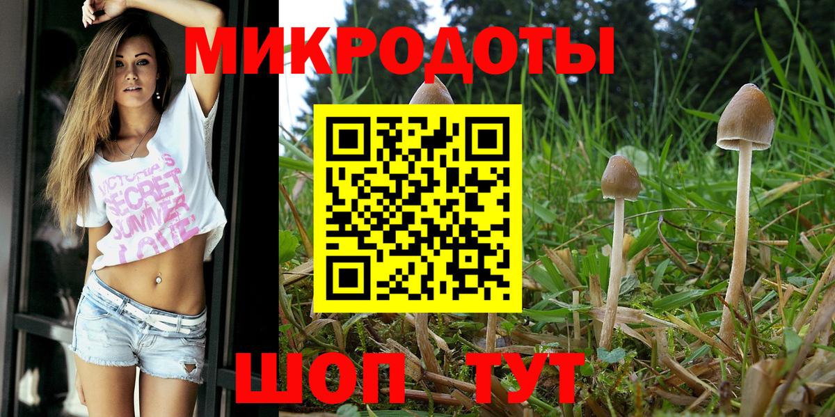 Йошкар-Ола  Галлюциногенные грибы мицелий  Вход с VPN  Галлюциногенные грибы GOLDEN TEACHER 